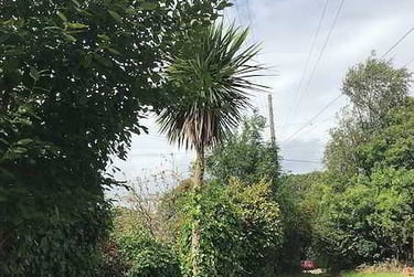 1 bed flat, Old Tiverton Road, St Sidwells, Exeter, EX46NG - Image 9